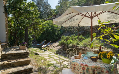 Dolcedo 666: Plant, Plant Community, Table, Tree, Botany, Shade, Chair, Outdoor Table, Outdoor Furniture, Landscape