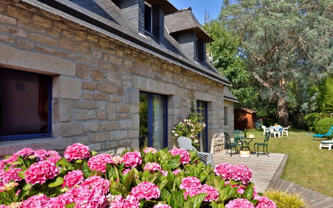 St Adrien: Flower, Plant, Building, Property, Window, Botany, House, Tree, Petal, Vegetation