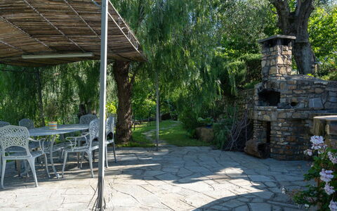Diano Marina 626: Property, Flagstone, Yard, Backyard, Botany, Garden, Landscaping, Building, Tree, House
