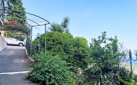 Pietra Ligure 612: Vegetation, Shrub, Woody Plant, Garden, Shade, Landscaping, Driveway, Walkway, Path