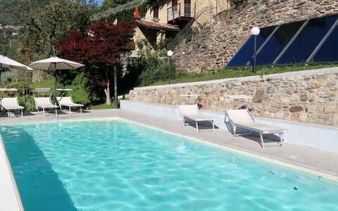 Viola: Water, Plant, Property, Building, Swimming Pool, Azure, Outdoor Furniture, Shade, Sunlounger, Sky