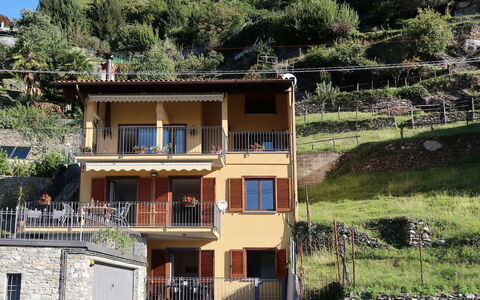 Viola: Property, Building, Window, Plant, Vegetation, Wood, Sky, Biome, Neighbourhood, Residential Area