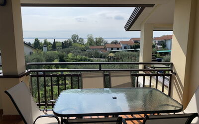 Accommodation:&nbsp;Primera 653.2