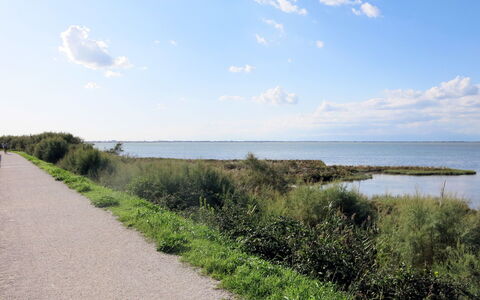 Tiziano: Cloud, Sky, Plant, Water, Ecoregion, Natural Landscape, Land Lot, Coastal And Oceanic Landforms, Horizon, Bank