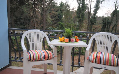 Tiziano: Furniture, Plant, Property, Table, Chair, Flower, Outdoor Furniture, Outdoor Table, Wood, Tree