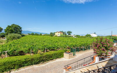 Accommodation:&nbsp;Borgo Agrituristico Il Pino 606.3