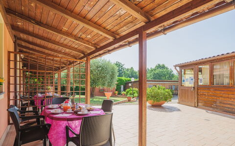 Orentano 613: Table, Sky, Property, Furniture, Plant, Chair, Azure, Shade, Interior Design, Architecture