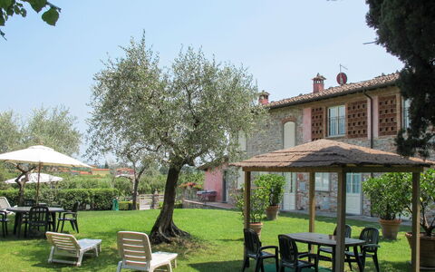 Lucca 657: Outdoor Furniture, Shrub, House, Outdoor Table, Furniture, Home, Garden, Lawn, Backyard, Estate