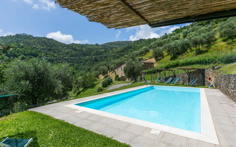 Pescia 626: Water, Property, Plant, Cloud, Sky, Swimming Pool, Building, Azure, Shade, Tree