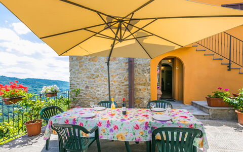 Pescia 629: Plant, Table, Furniture, Property, Flowerpot, Chair, Building, Shade, Botany, Interior Design