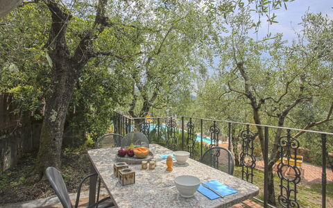 Montecatini Terme 615: Table, Plant, Furniture, Tableware, Chair, Sky, Tree, Outdoor Furniture, Outdoor Table, Shade