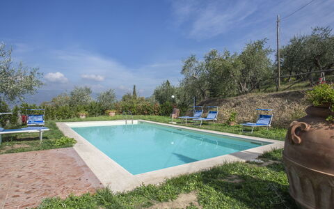 L'Amorosa: Water, Sky, Plant, Cloud, Swimming Pool, Building, Tree, Shade, Grass, Rectangle
