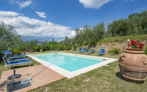 L'Amorosa: Water, Cloud, Sky, Plant, Building, Swimming Pool, Tree, Grass, Outdoor Furniture, Leisure