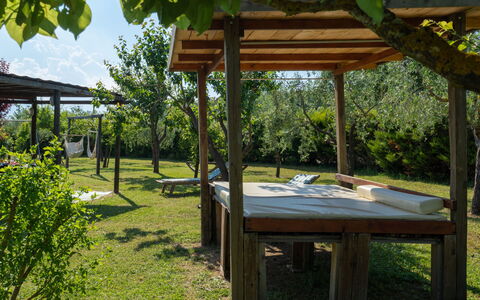 Le Buche: Plant, Property, Shade, Botany, Sky, Leisure, Grass, Public Space, Gazebo, Landscape