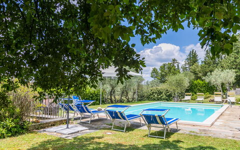 Panzano 604: Plant, Water, Cloud, Sky, Azure, Shade, Swimming Pool, Outdoor Furniture, Tree, Sunlounger