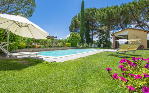 Bucine 609: Plant, Sky, Flower, Tree, Shade, Outdoor Furniture, Land Lot, Building, Umbrella, Swimming Pool