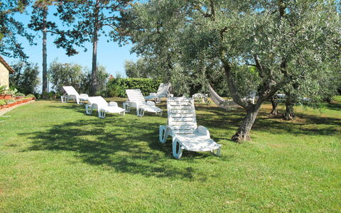 Linari 603: Tree, Property, Grass, Lawn, Yard, Land Lot, Plant, Garden, Park, Meadow
