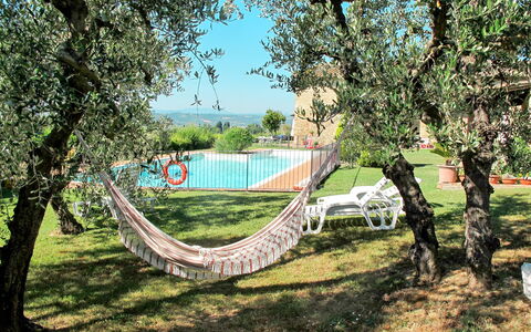 Linari 603: Tree, Grass, Woody Plant, Spring, Plant, Land Lot, Landscape, Leisure, Rural Area