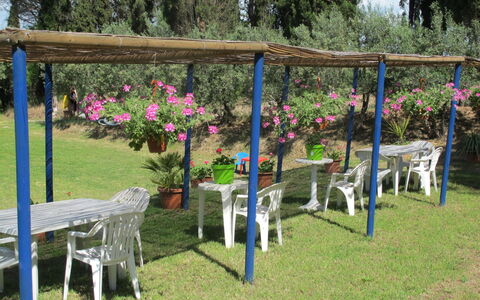 Certaldo 650: Plant, Tree, Flower, Shade, Outdoor Furniture, Leisure, Grass, Recreation, Groundcover, Lawn