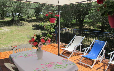 Accommodation:&nbsp;Conte Francesco Ii 650.5