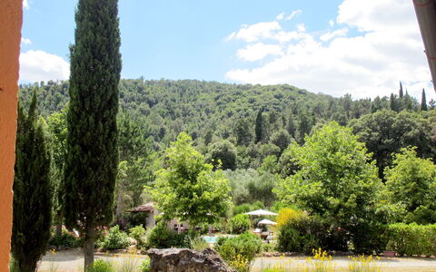 San Gimignano 647: Natural Landscape, Vegetation, Nature, Tree, Natural Environment, Wilderness, Nature Reserve, Biome, Sky, Property