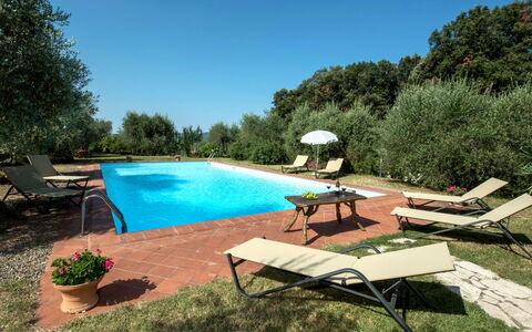 Siena 631: Water, Plant, Sky, Furniture, Swimming Pool, Tree, Azure, Shade, Outdoor Furniture, Sunlounger