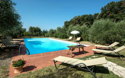 Siena 631: Water, Plant, Sky, Furniture, Swimming Pool, Tree, Azure, Shade, Outdoor Furniture, Sunlounger