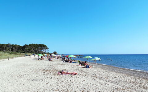 Palazzeta Iv: Water, Sky, Beach, Tree, Coastal And Oceanic Landforms, Landscape, Leisure, Horizon