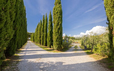 Accommodation:&nbsp;Podere Tre Termini 609.6
