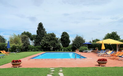 Foiano Della Chiana 602: Swimming Pool, Grass, Property, Leisure, Vacation, Resort, Lawn, Tree, Real Estate, House