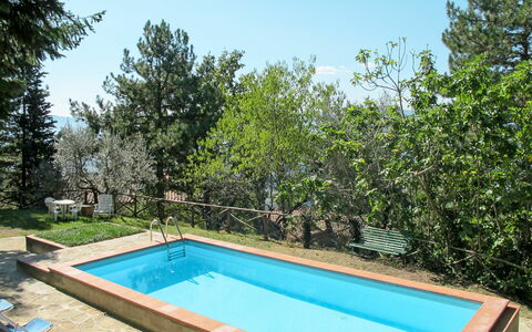 Castelfranco di Sopra 605: Water, Plant, Sky, Swimming Pool, Shade, Tree, Rectangle, Leisure, Grass, Landscape