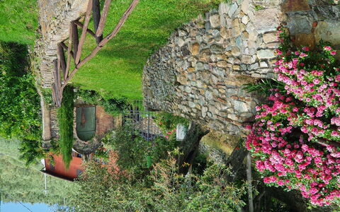 Buti 608: Vegetation, Wall, Plant, Flower, Rock, Tree, Grass, Moss, Stone Wall, Spring