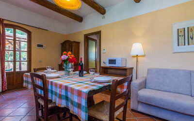 Accommodation:&nbsp;Daino 626.2