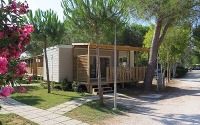 Marina di Bibbona 618