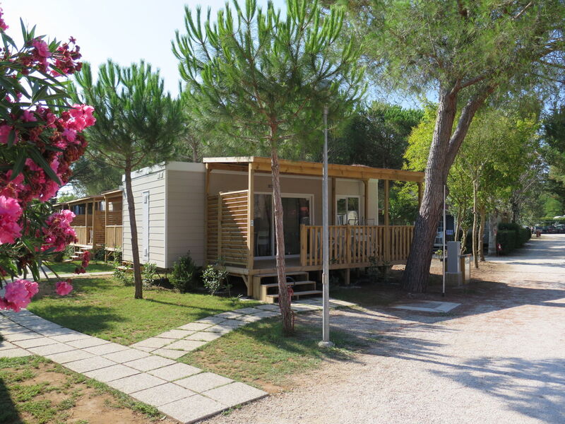 Marina di Bibbona 618