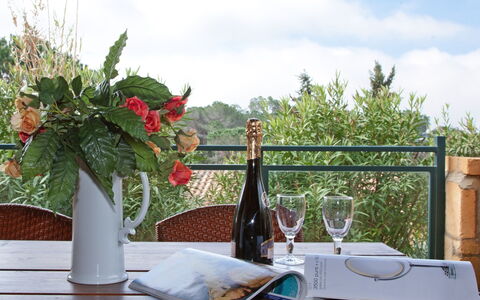Guardistallo 639: Cloud, Table, Property, Sky, Tableware, Flower, Furniture, Bottle, Plant, Drinkware