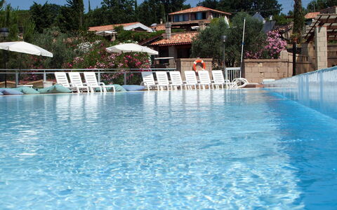 Guardistallo 639: Water, Plant, Swimming Pool, Azure, Tree, Sky, Body Of Water, Leisure, Umbrella, Aqua