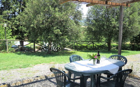 Guardistallo 640: Property, Real Estate, Backyard, Yard, House, Patio, Building, Table, Cottage, Garden
