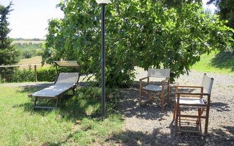 Guardistallo 640: Plant, Furniture, Outdoor Bench, Green, Shade, Outdoor Furniture, Table, Tree, Sunlight, Grass