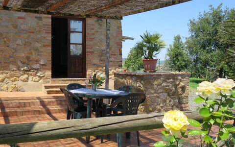 Guardistallo 640: Property, Building, House, Cottage, Room, Wall, Patio, Real Estate, Furniture, Flower