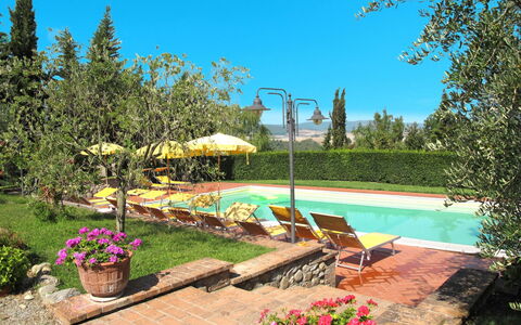 Lajatico 602: Flower, Plant, Water, Sky, Swimming Pool, Flowerpot, Botany, Natural Landscape, Outdoor Furniture, Shade