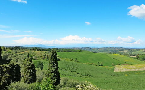 Lajatico 602: Cloud, Sky, Plant, Ecoregion, Green, Natural Landscape, Natural Environment, Tree, Land Lot, Highland
