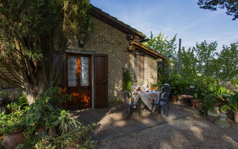 Il Crocino Ii: Plant, Building, Property, Sky, Window, House, Land Lot, Tree, Cottage, Flowerpot