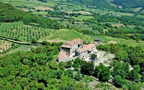Roccastrada 618: Plant, Building, Plant Community, Green, Natural Landscape, Natural Environment, Highland, Land Lot, Vegetation, Tree