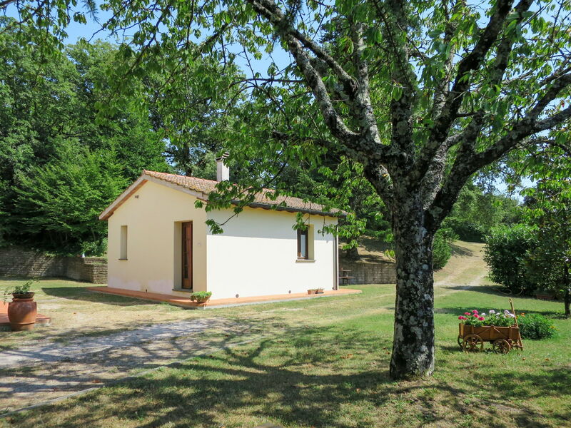 Boccheggiano 609