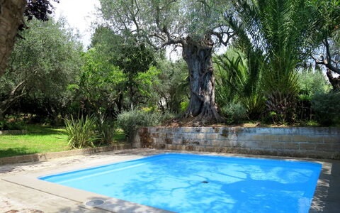 Castiglione della Pescaia 610: Water, Plant, Property, Nature, Tree, Shade, Vegetation, Grass, Natural Landscape, Arecales