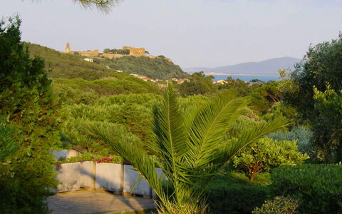 Castiglione della Pescaia 610: Sky, Plant, Mountain, Cloud, Tree, Natural Landscape, Highland, Shrub, Grass, Landscape