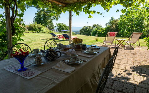 Ginestra: Plant, Table, Property, Tableware, Sky, Tree, Outdoor Table, Outdoor Furniture, Architecture, Shade
