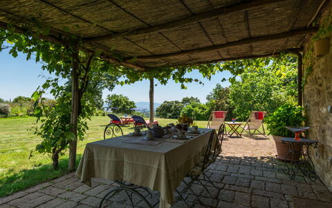 Ginestra: Plant, Table, Property, Furniture, Flowerpot, Chair, Shade, Botany, Outdoor Furniture, Outdoor Table