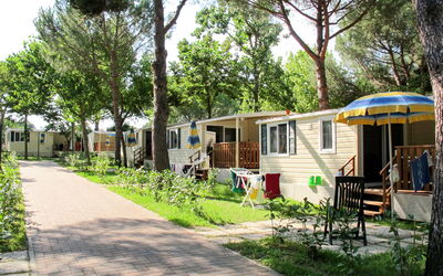Lago Trasimeno 602